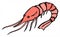 Shrimp, prawn, seafood, colorful sketch, drawing, red color