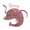 Shrimp . Sticker for kids. Child fun pattern icon.
