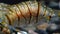 Shrimp stone Palaemon. Palaemon elegans