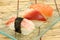 Shrimp, surf and salmon sushi