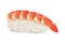 Shrimp sushi with rise and shrimp on a white background