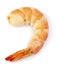 Shrimp tail