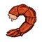 Shrimp tail meat illustration. Design element for poster, banner, card, menu.