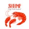 Shrimp vector illustration in cartoon style.