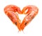 Shrimp on white with heart shape