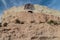 Shrine on a hill near Humahuaca village, Argenti