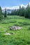 Shrine Pass - Colorado Mountain Scenery