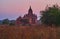 The shrine in tall grasses, Bagan, Myanmar