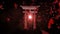 shrine temple zoom sakura particle loop animation background