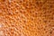 Shriveled orange peel close-up, macro photography