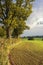 Shropshire landscape in early Autumn