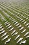 Shrouds of the Somme exhibition in Exeter