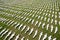 Shrouds of the Somme exhibition in Exeter