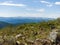 Shrub and flowers on the top of the mountain. Panorama of the distant Siberian mountains