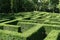 Shrub maze