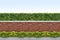 Shrubs and brick fence