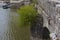 Shrubs on a bridge over the Cosson River Chambord France