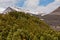 Shrubs of creeping Siberian dwarf pine Pinus pumila and a stone run at Dzenzur Volcano