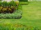 Shrubs and green lawns, front yard landscape, Peaceful Garden with a Freshly Lawn