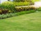 Shrubs and green lawns, front yard landscape, Peaceful Garden with a Freshly Lawn