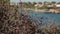 Shrubs on the slopes of the rocks. Spanish beaches in Cala Mendia. Mallorca