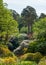 Shrubs and trees, including colourful rhododendrons, growing in The Dell, by the lake at Leonardslee Gardens, Sussex UK