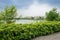 Shrubs and trees at planked lakeside in cloudy summer afternoon