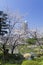 Shukkeien Garden in Central Hiroshima