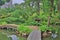 Shukkeien is a pleasant Japanese style garden