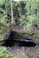 Shungit abandoned mine in Shunga, Russia