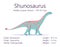 Shunosaurus. Sauropodomorpha dinosaur. Colorful vector illustration of prehistoric creature shunosaurus and description