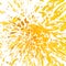 Shuttered floral explosion yellow on white background copy space, copyspace