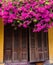 shuttered shop in Hoi An, Vietnam