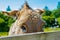 Shy Donkey Behind A Wooden Fence