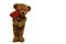 The shy teddy bear holding single red rose want to give for someone.