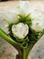 Siam or Pathumma flowers, white, multi-layered petals arranged in a long bouquet.