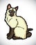 Siamese cartoon cat