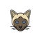 Siamese cat animal cute face isolated line icon