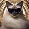 A Siamese cat as a glamorous Hollywood movie star, with a faux fur stole and sunglasses3