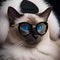 A Siamese cat as a glamorous Hollywood movie star, with a faux fur stole and sunglasses4