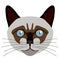 Siamese cat avatar. Cat breeds