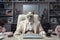 Siamese cat like a boss sitting behind a desk in style of Anthropomorphic animals. Generative AI