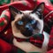 A Siamese cat napping on a cozy Christmas-themed blanket, wearing a bow tie5