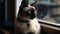 A Siamese cat perched on the windowsill watching birds outside created with Generative AI