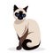 Siamese cat. siam Cute Kitty sitting isolated on white. kawaii vector illustration