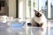 A Siamese cat sits on the floor in a bright room next to a transparent plate with water