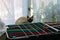 Siamese cat sits on the windowsill in the kitchen near the clothes dryer.