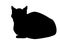 Siamese cat sitting silhouette isolated on white, vector eps 10