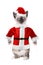 Siamese Cat Wearing a Santa Claus Suit