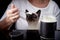 Siamese cat in a woman`s arms is eating sour cream from a spoon